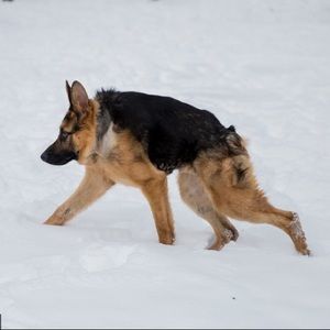 Meet your Posher, Robanne